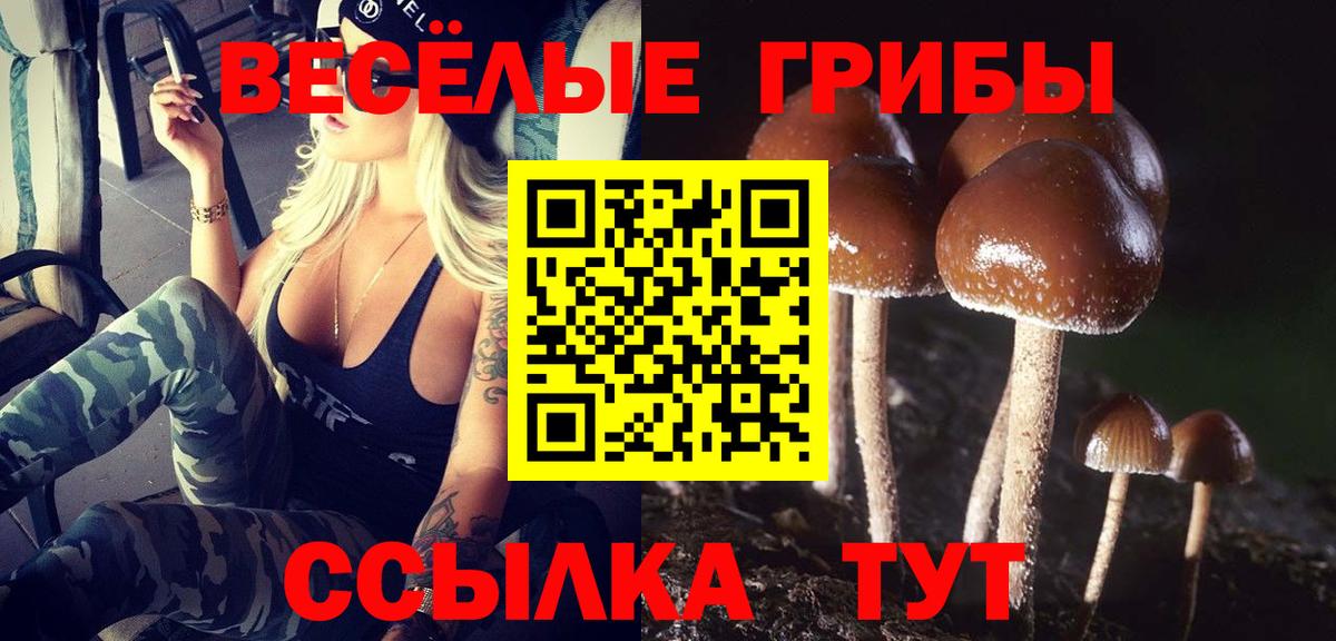 Калач-на-Дону  Галлюциногенные грибы GOLDEN TEACHER  Вход с VPN  Галлюциногенные грибы Magic Shrooms 
